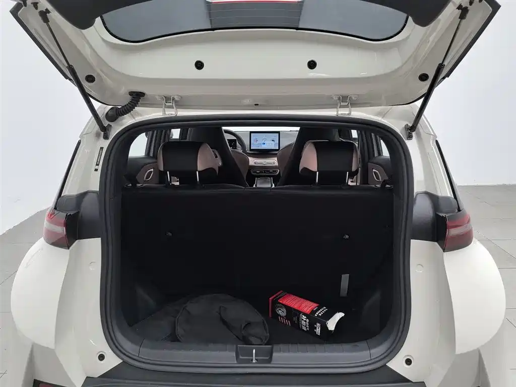BYD Seagull 2025 Smart Drive Edition 305km Vitality Version фото 16