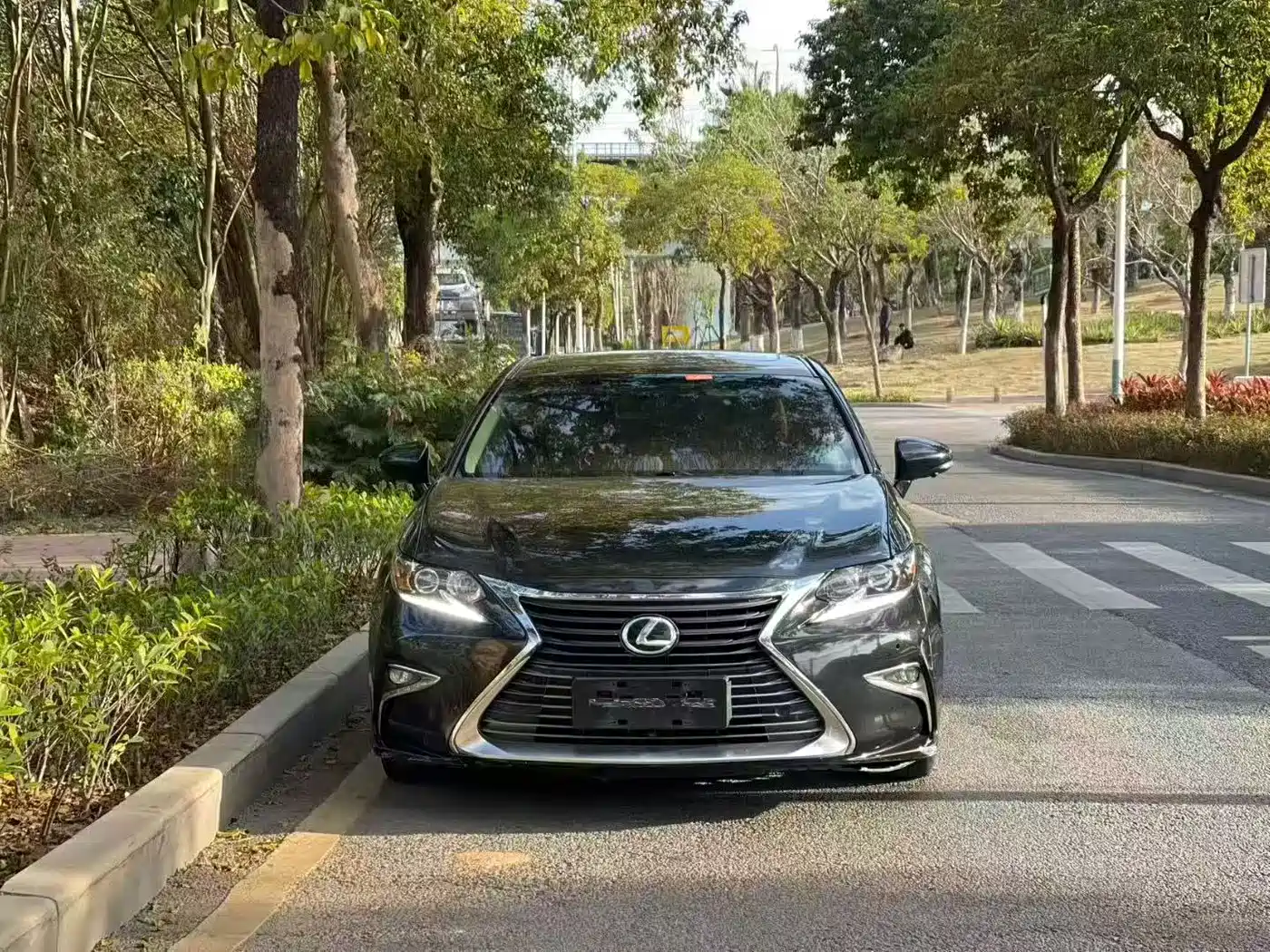Lexus ES 2015 200 Elite Edition фото 2