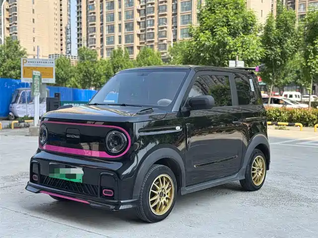 Geely Galaxy Panda 2025 Model Year 210km Panda Knight