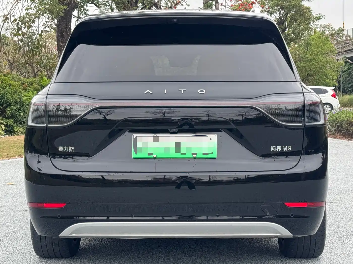 AITO Wenjie AITO M9 2024 Extended Range Ultra 42kWh 6-Seater фото 5