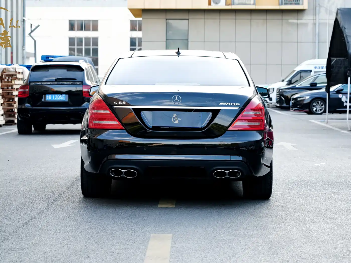 Mercedes-Benz S-Class AMG 2010 AMG S 65 фото 8