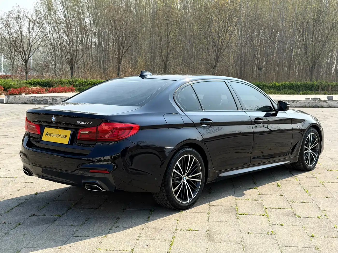 BMW 5 Series 2019 Facelift 530Li Leading M Sport Package фото 5