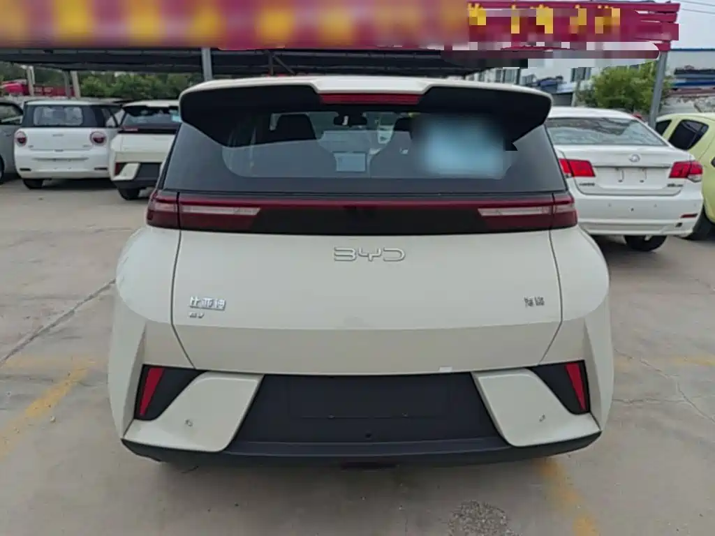 BYD Seagull 2026 2025 Smart Drive Edition 305km Vitality Version