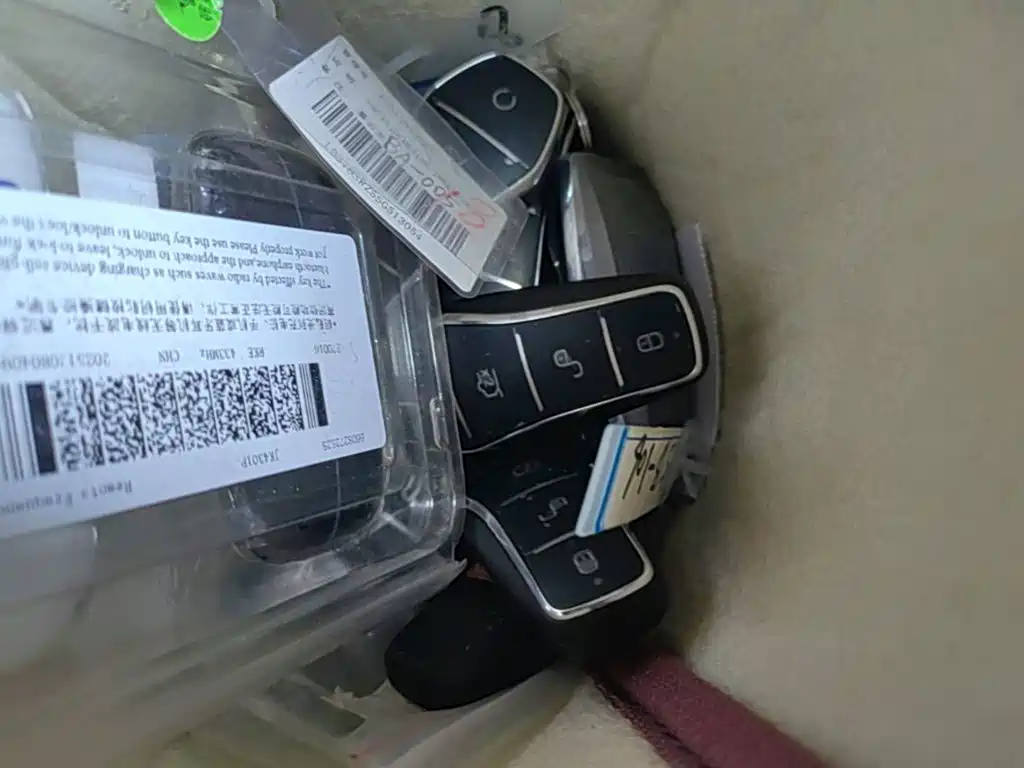 BYD Seagull 2026 2025 Smart Drive Edition 305km Vitality Version