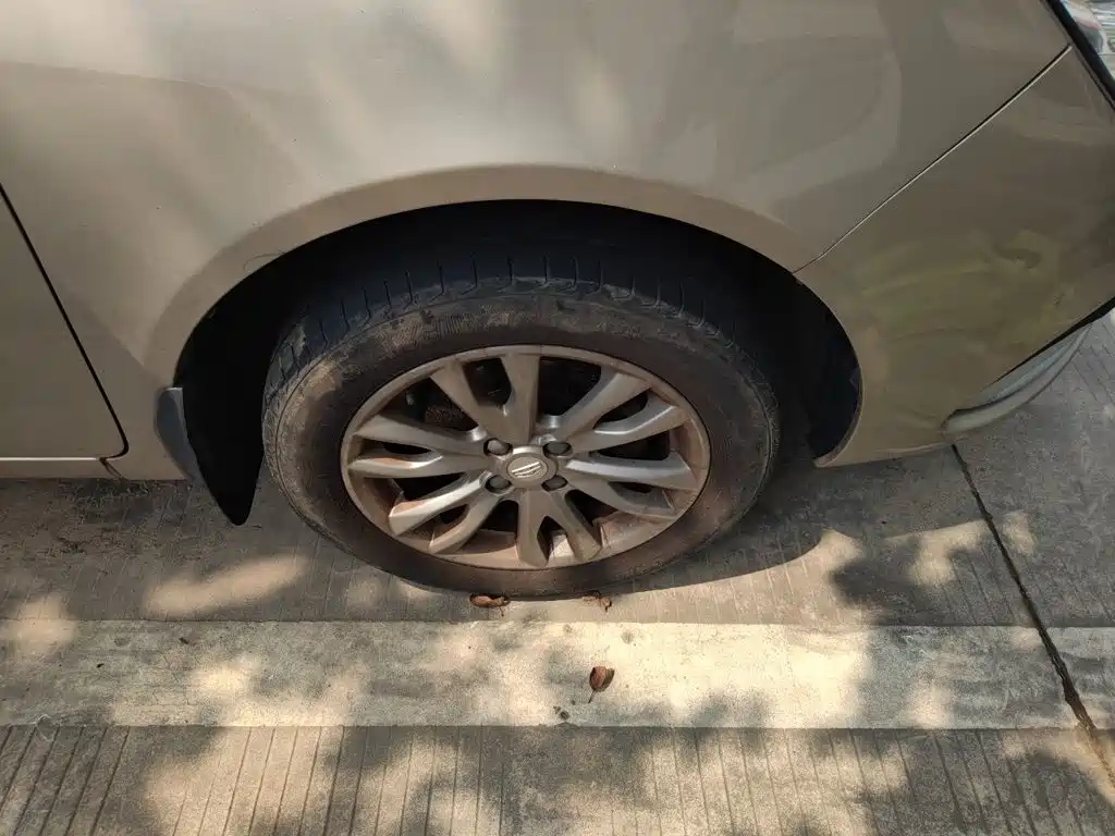 Фото 24 - Geely Vision