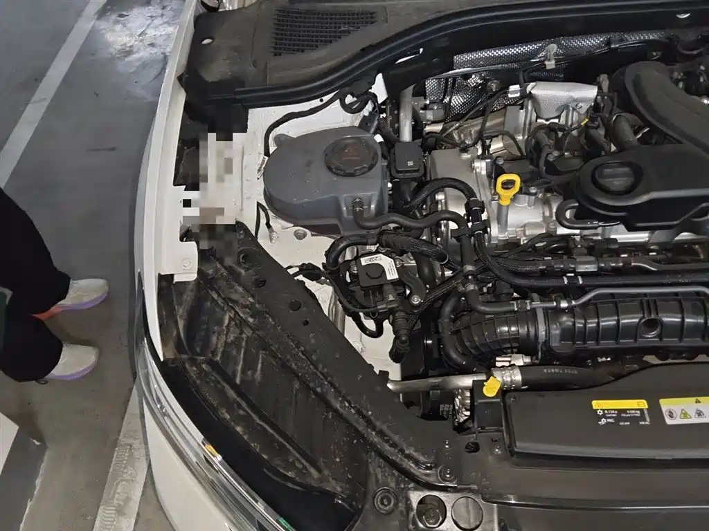 Volkswagen Sagitar 2026 Model 30 Million Special Selection 300TSI DSG Surpass Edition фото 23