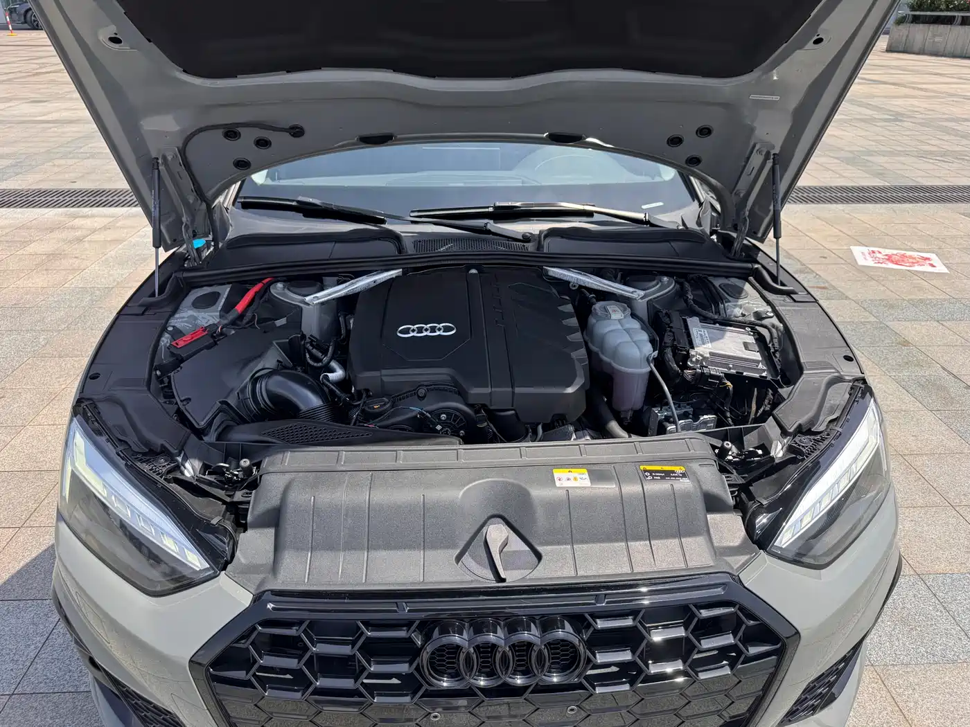 Audi A5 (Import) 2022 Coupe 40 TFSI Fashion Dynamic фото 19