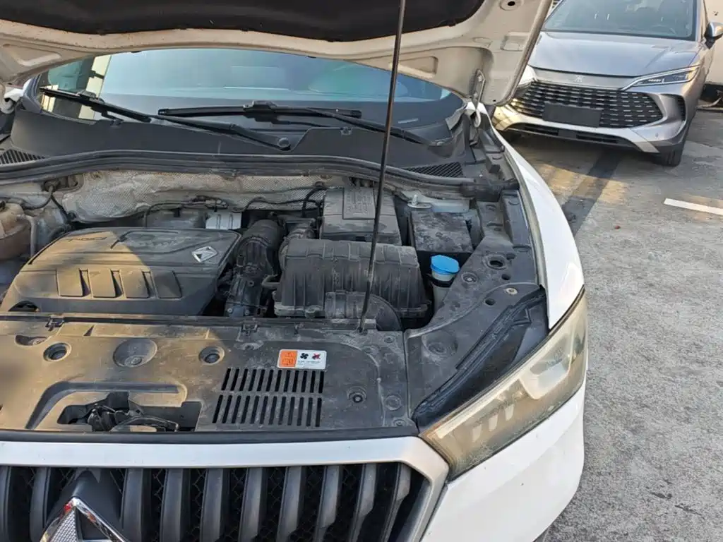 Borgward BX5 2019 2017 Model 20TGDI Automatic 2WD Vanguard Type