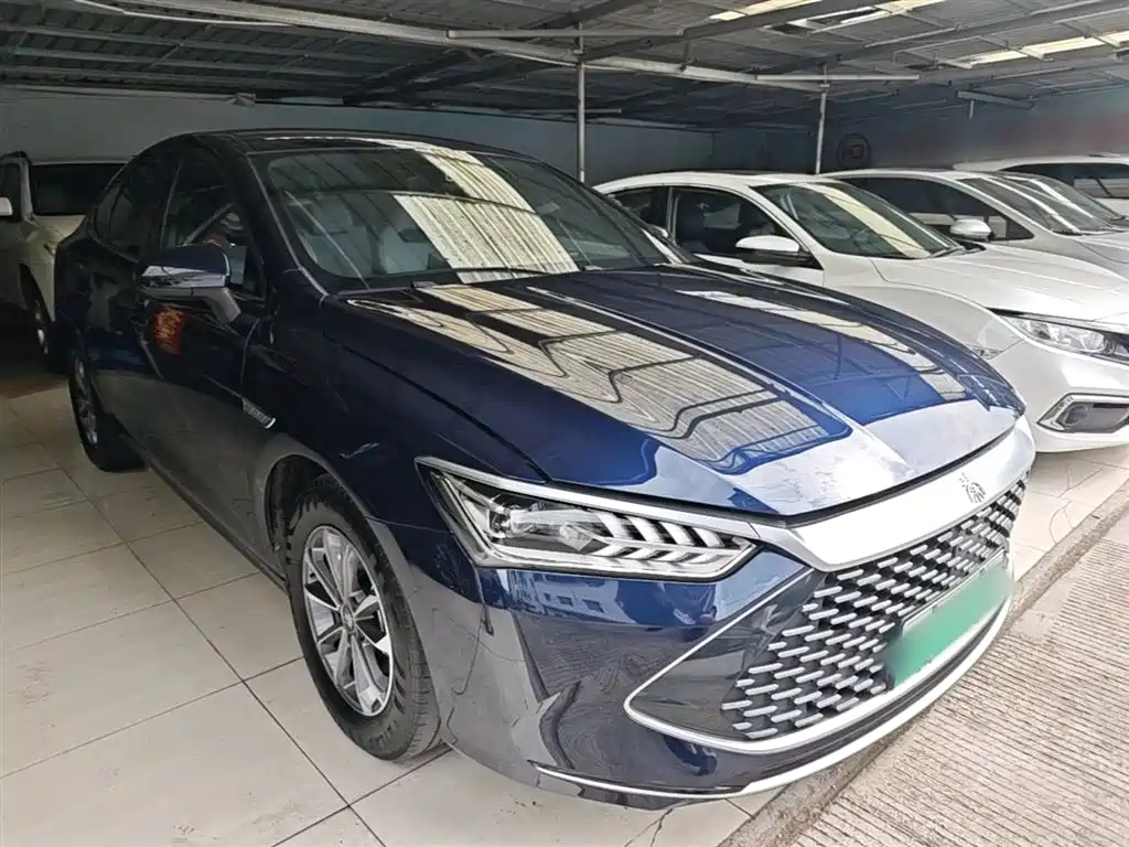 BYD Qin PLUS 2024 Glory Edition DM-i 55KM Leading фото 4