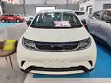 Фото 3 - BYD Dolphin