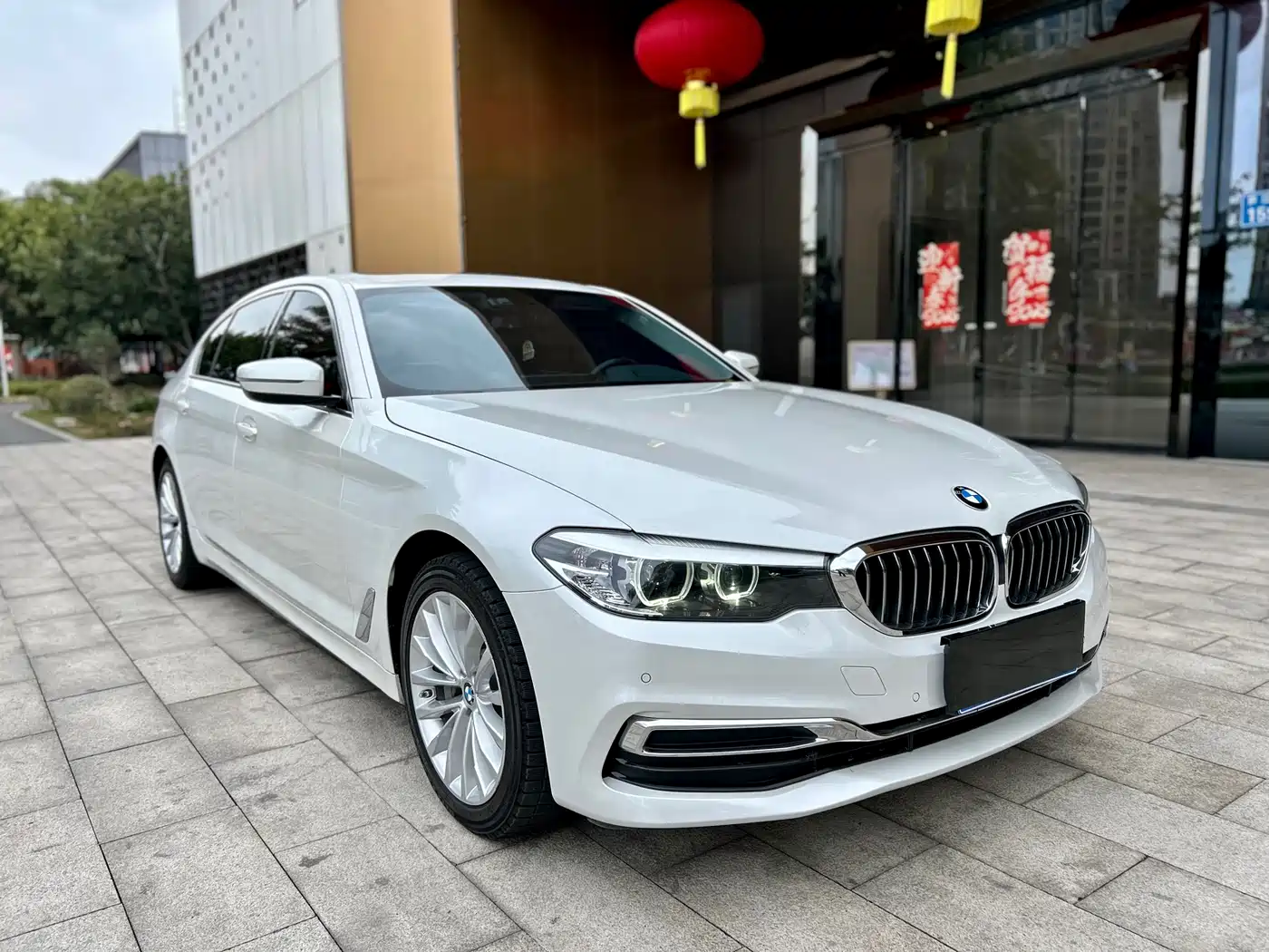 BMW 5 Series 2019 Facelift 530Li xDrive Luxury Package фото 3