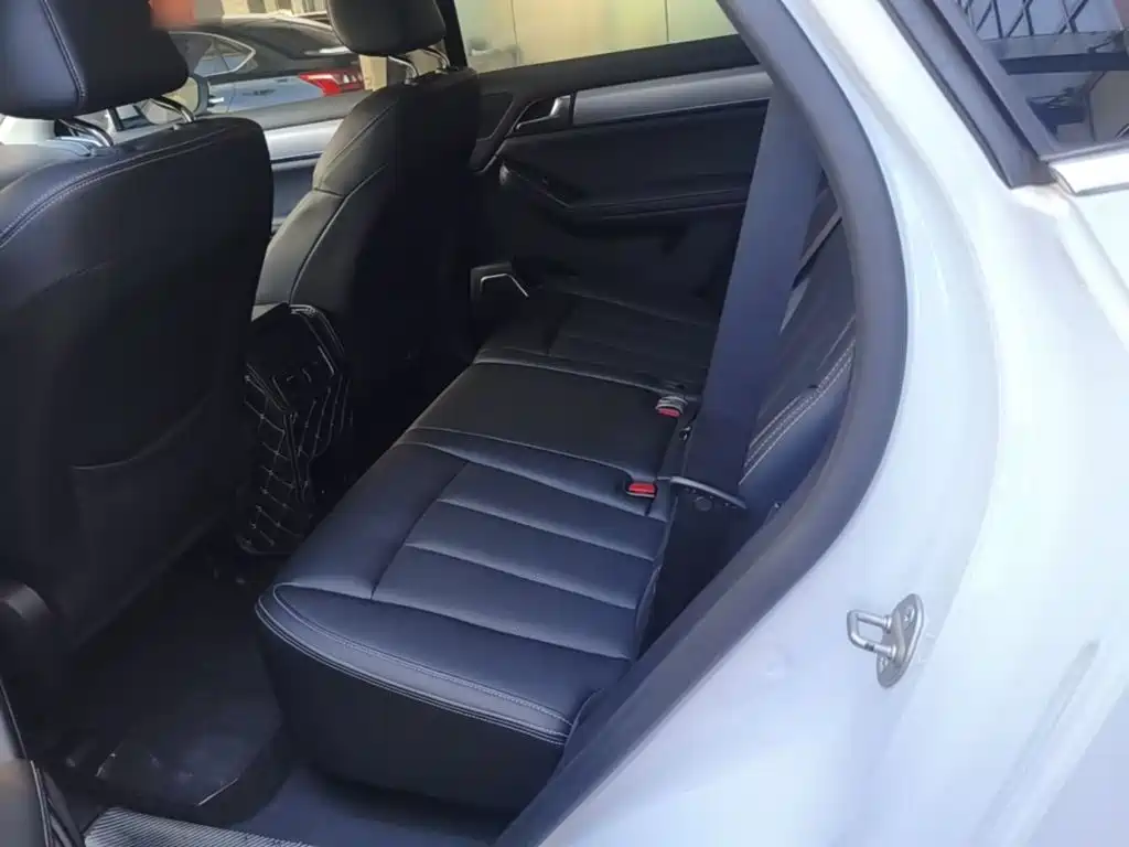 BYD Tang 2019 2019 2.0T Automatic Smart Connect Luxury 5-seater China VI