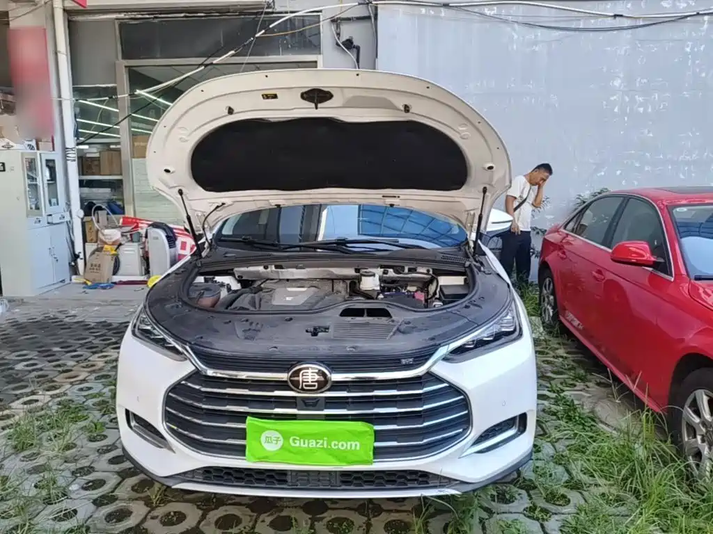 BYD Tang 2019 2019 2.0T Automatic Smart Connect Luxury 5-seater China VI