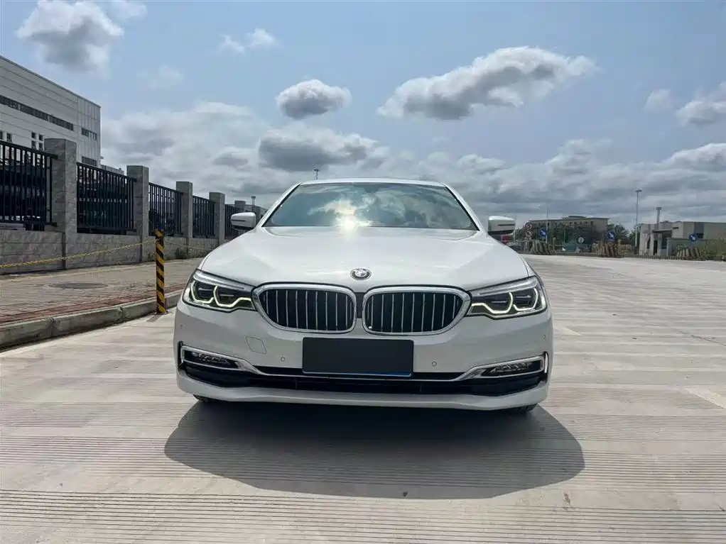 BMW 5 Series 2018 Facelift 530Li Exclusive Luxury Package фото 2