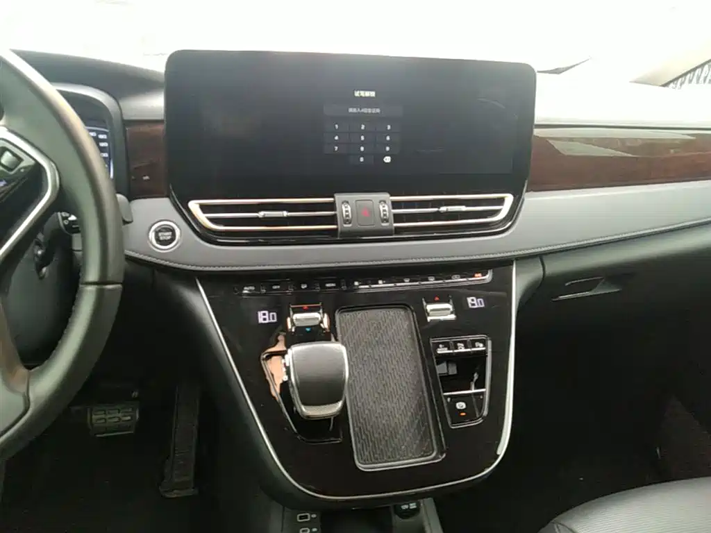 Hongqi HQ9 PHEV 2024 Model 2.0T AWD Luxury Edition фото 13