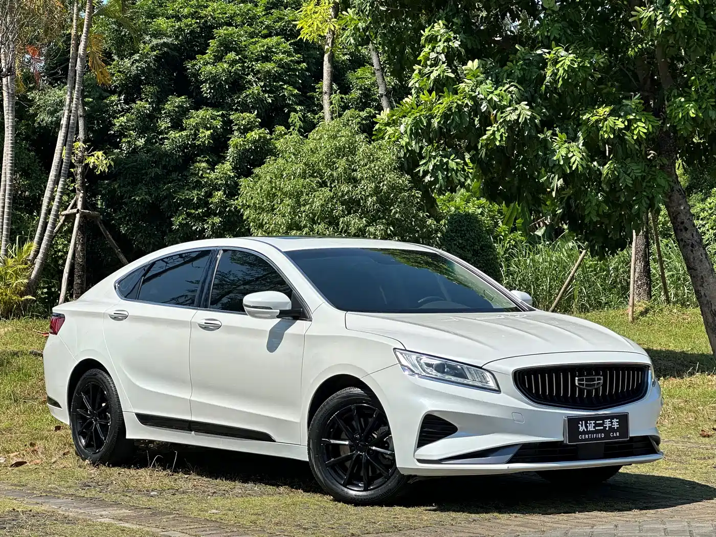 Geely Borui 2020 2021 1.8T Pilot Edition+