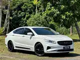 Фото 3 - Geely Borui