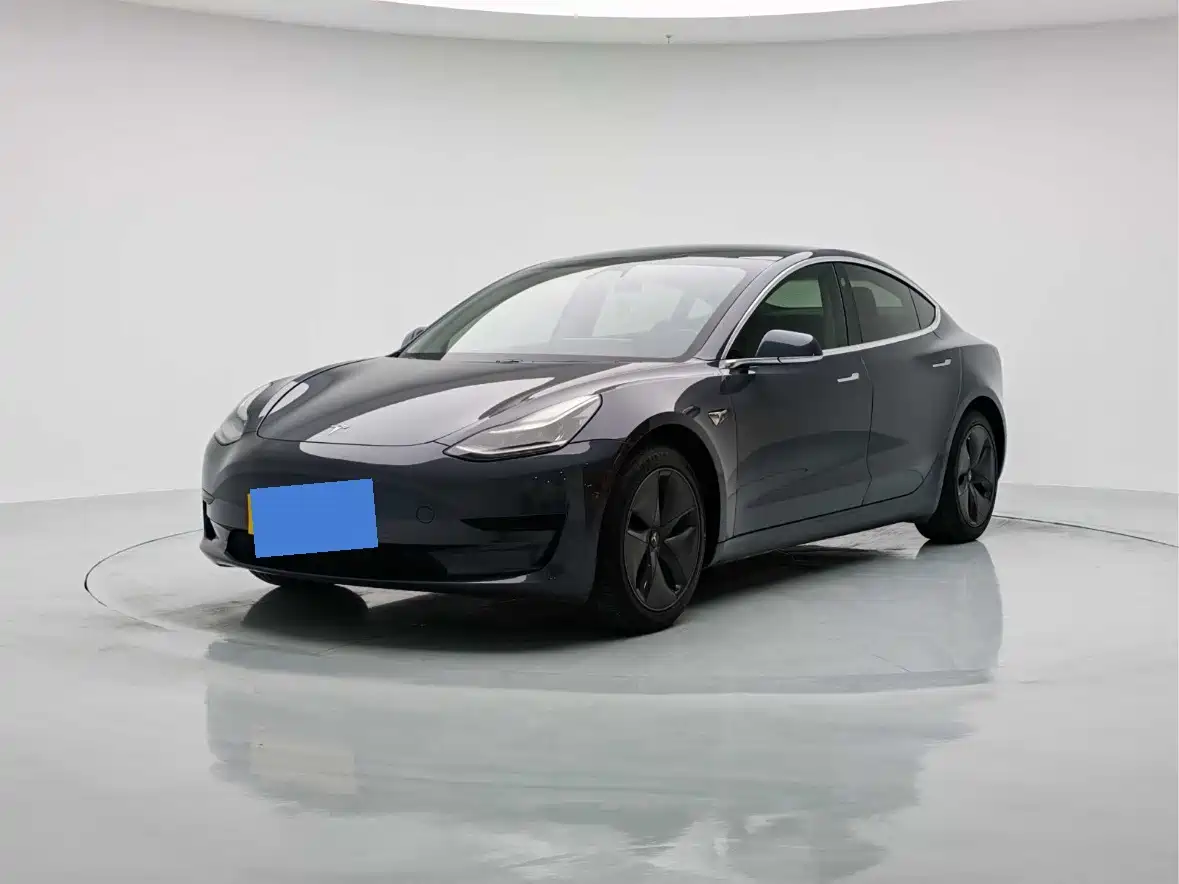  Tesla Model 3 2019 Standard Range Rear-Wheel Drive Upgrade