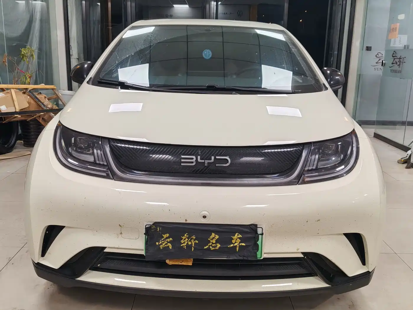 2026 BYD Dolphin