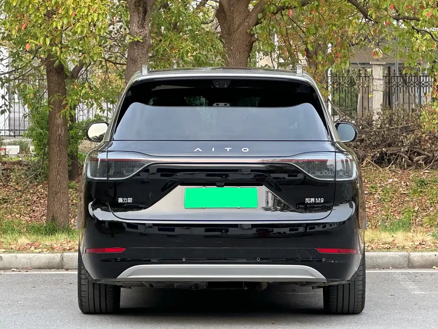 AITO Wenjie AITO M9 2025 Extended Range Ultra 52kWh 6-Seater фото 6