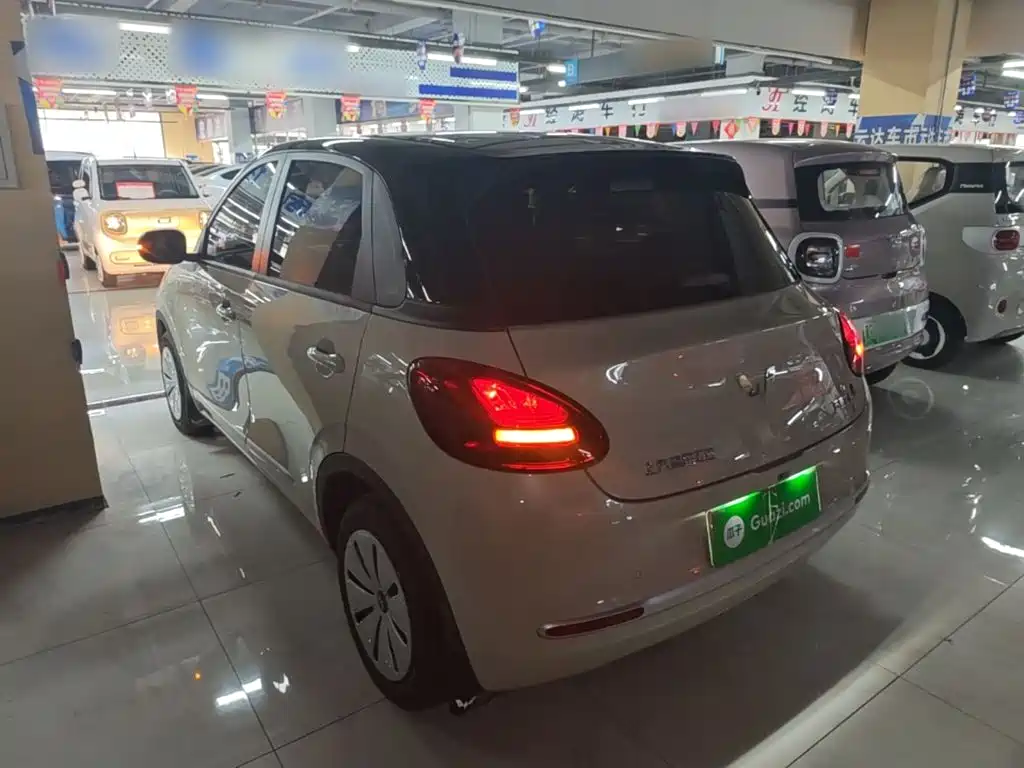 Wuling Motors Wuling Bingo 2026 2025 Model 203km Light Enjoyment