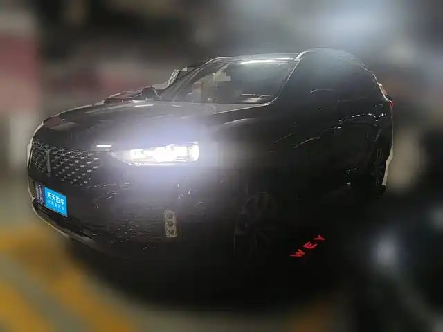 WEY VV6 2019