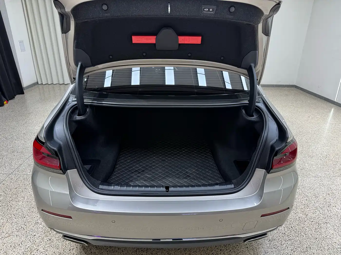 BMW 5 Series 2021 530Li Leading Luxury Package фото 30
