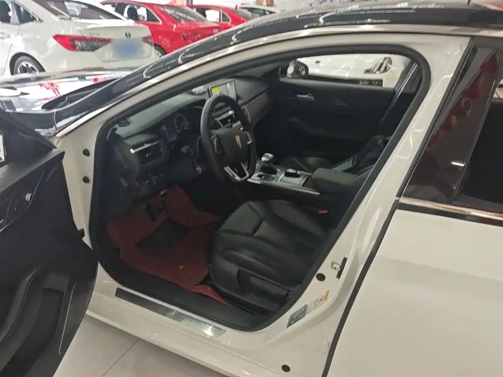 Hongqi H5 2020 1.5T DCT Qi Rhythm Edition фото 15