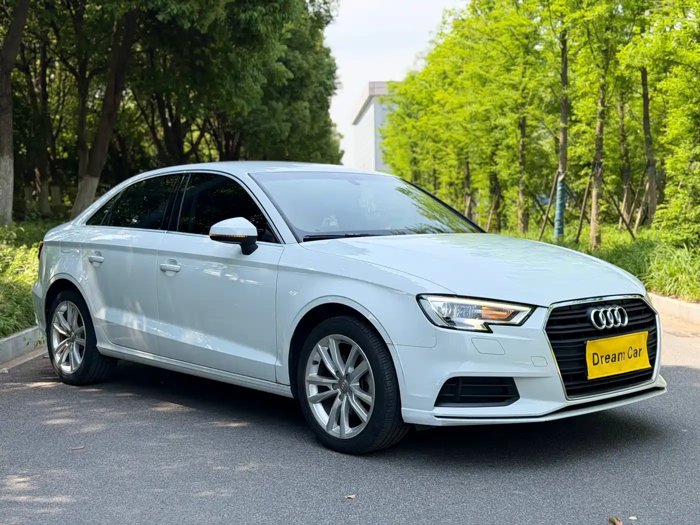 Audi A3 2018 30th Anniversary Limousine 35 TFSI Progressive фото 3