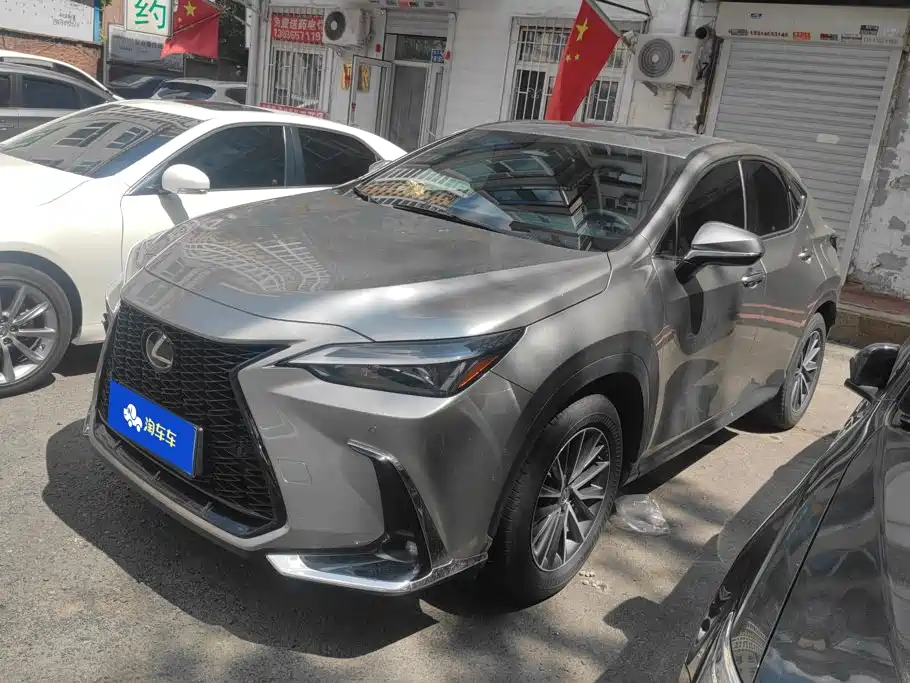 Lexus NX 2024 2024 350h FWD Joy Creation Edition