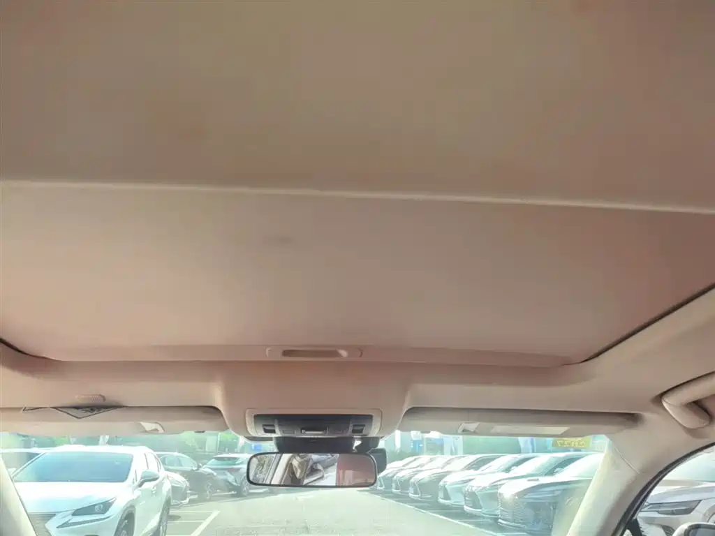 Lexus NX 2018 Model 300h FWD Fengshang Edition China V фото 18