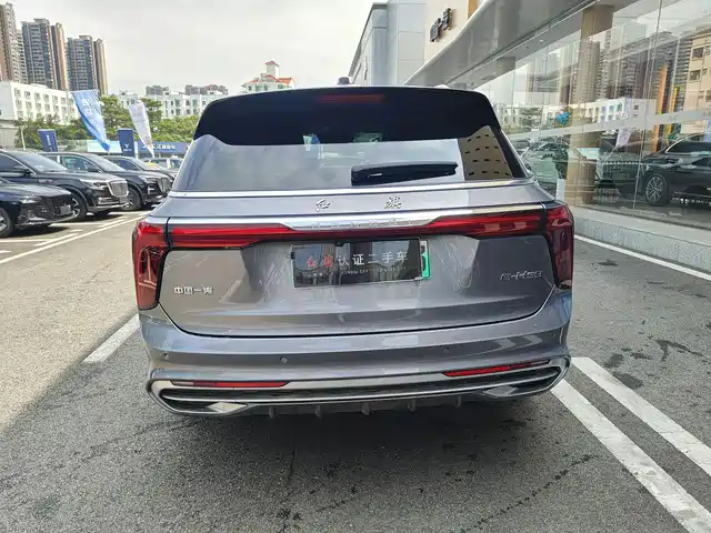 Hongqi E-HS9 2022 690km Qi Xiang Edition (6-seater) — фото 5