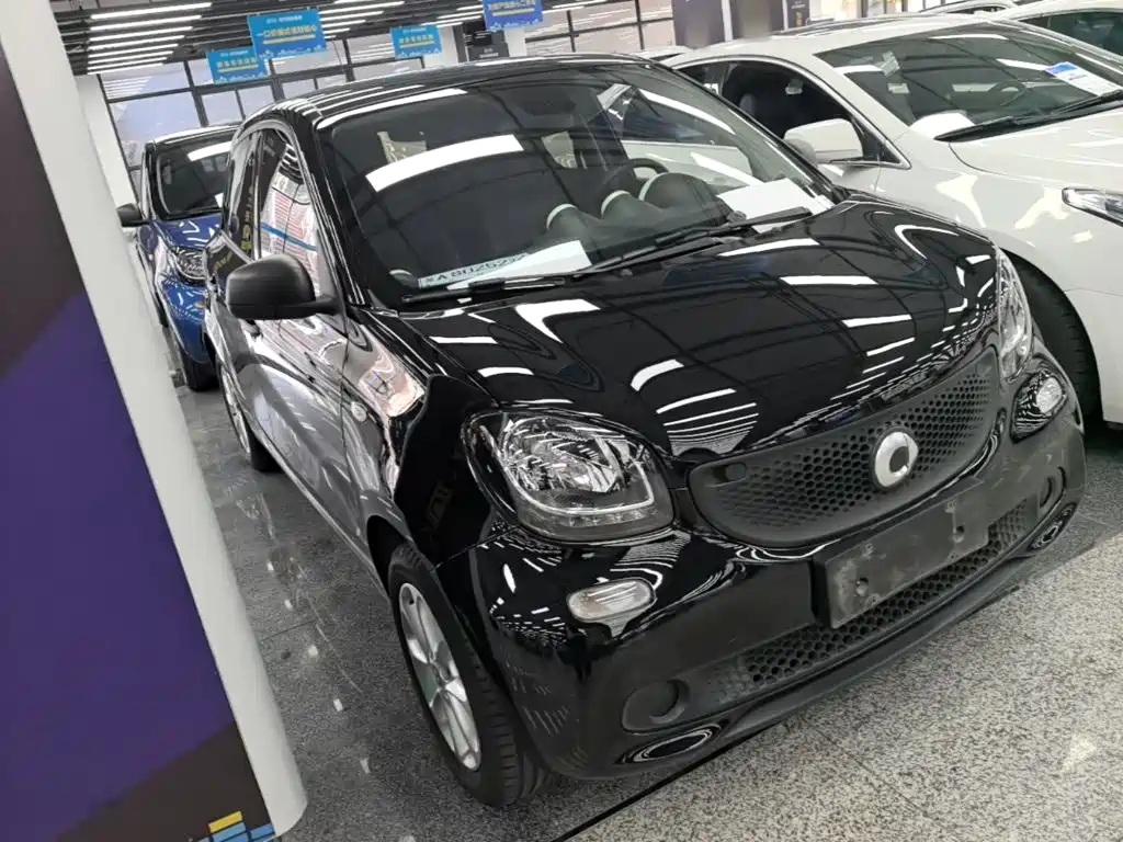 Фото 4 - smart forfour