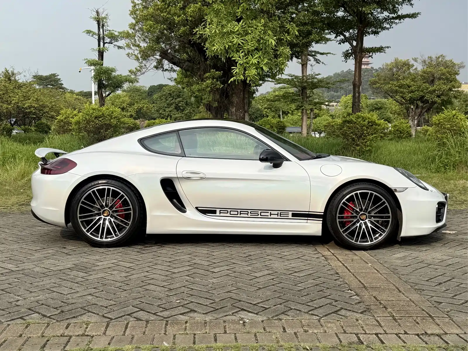 صورة 13 - Porsche Cayman