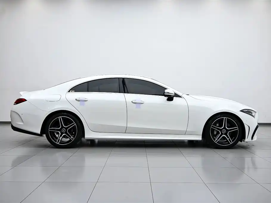 Mercedes-Benz CLS 2022 CLS 300 Luxury фото 6