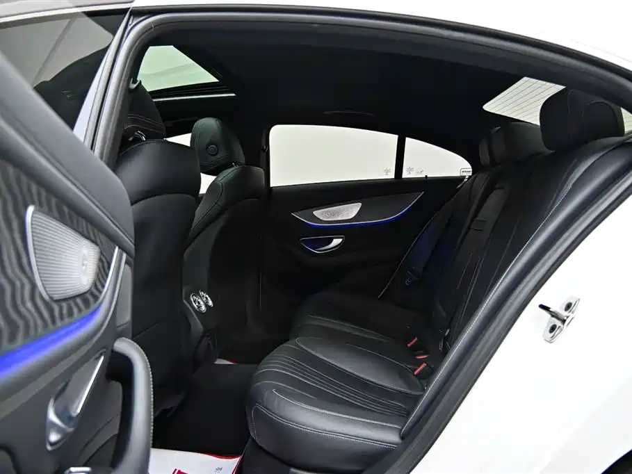Mercedes-Benz CLS 2022 CLS 300 Luxury фото 12