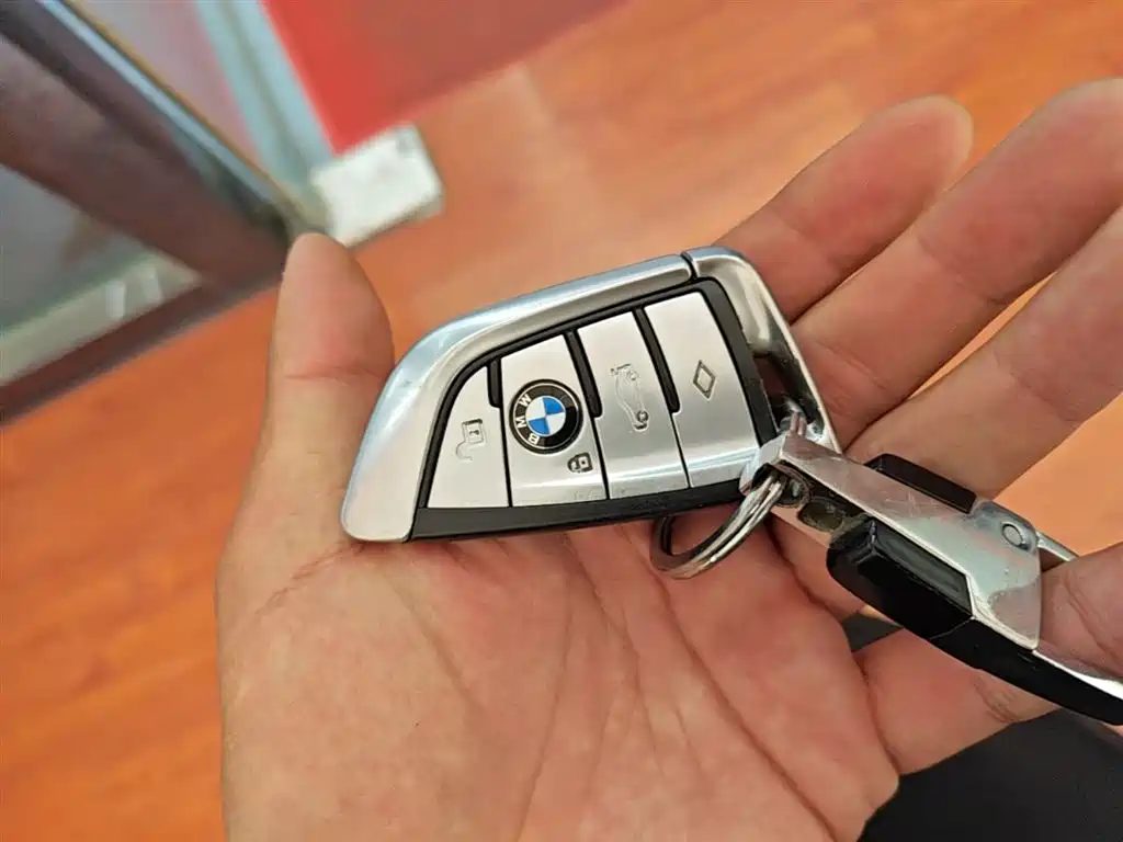 BMW 5 Series 2020 530Li Leading Luxury Package фото 9