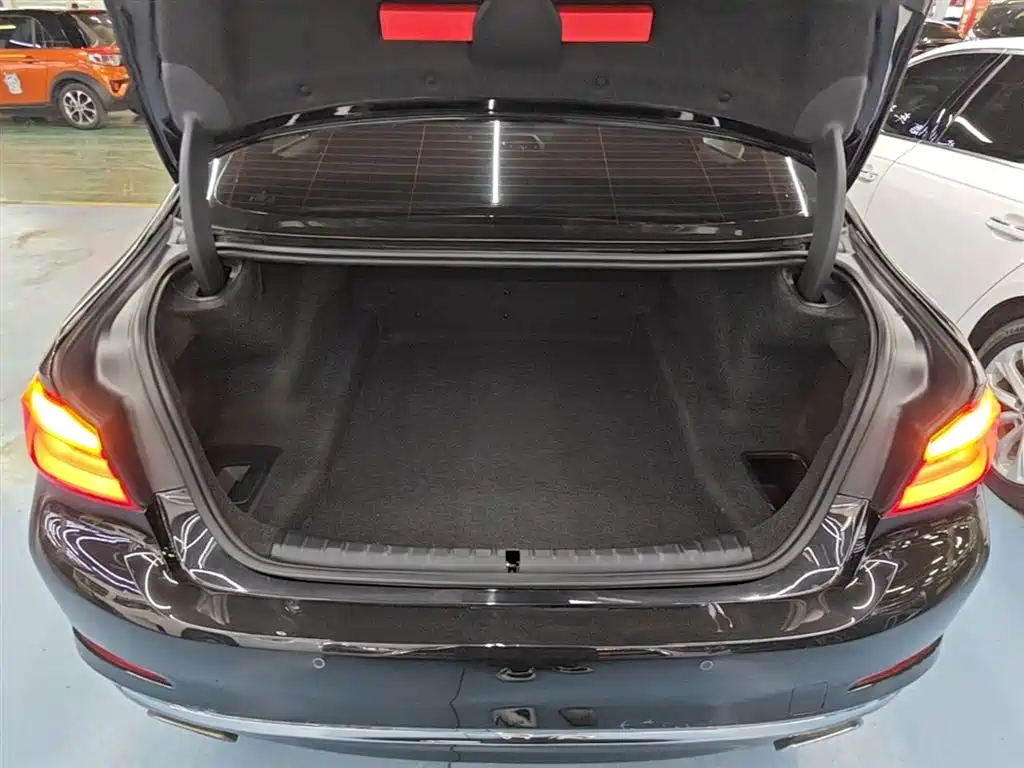 BMW 5 Series 2020 530Li Leading Luxury Package фото 19