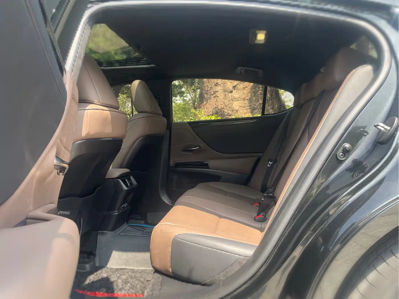 Lexus ES 2023 200 Excellence Edition фото 12