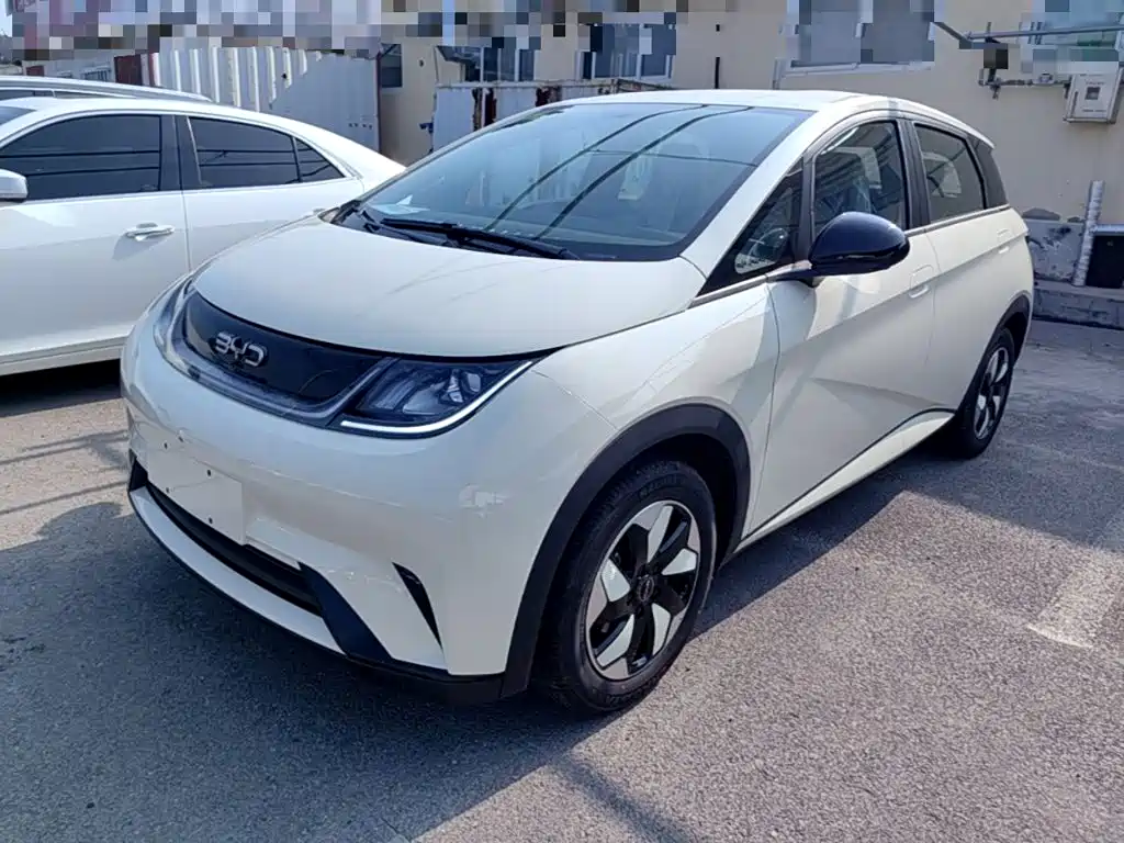 BYD Dolphin 2026 2025 420km Freedom Edition