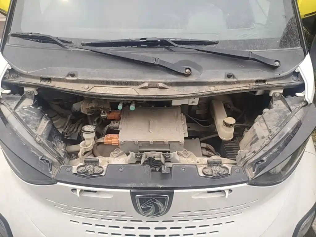Baojun E100 2019 2019 250KM Smart Edition