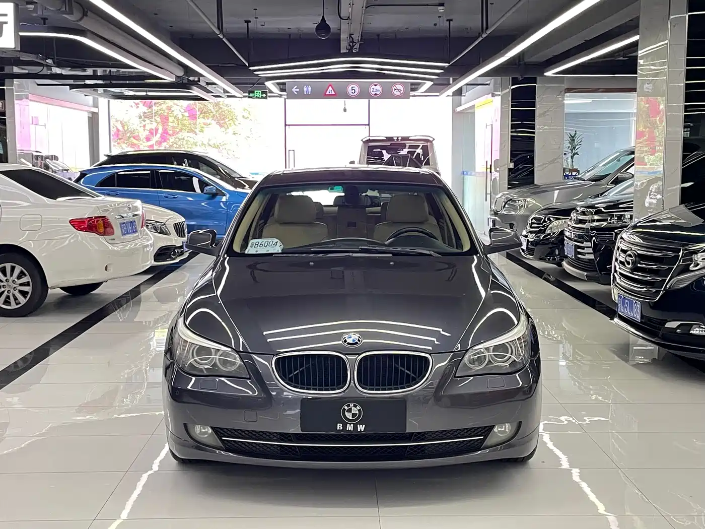 BMW 5 Series 2009 520Li Premium фото 2