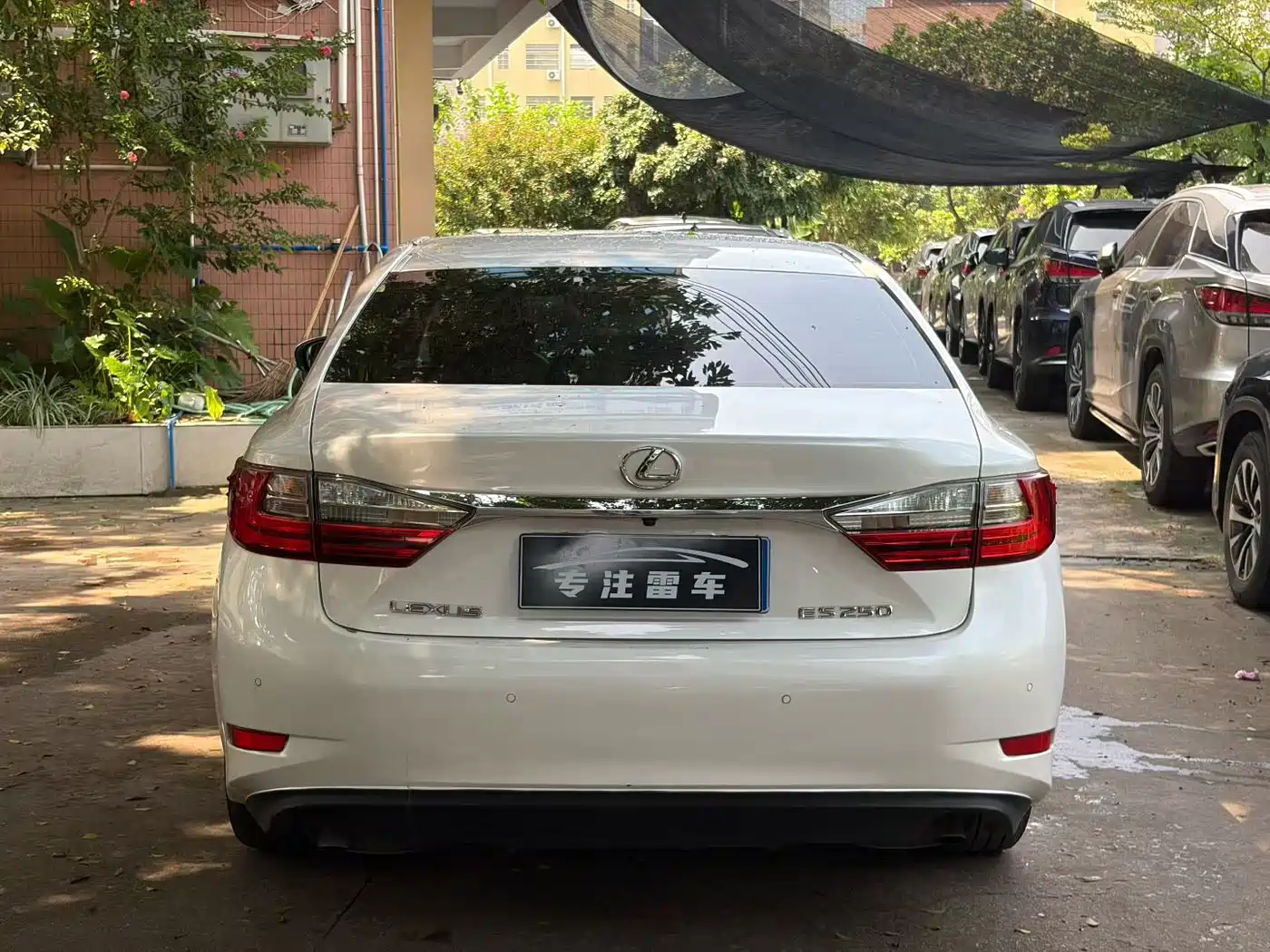 Фото 8 - Lexus ES