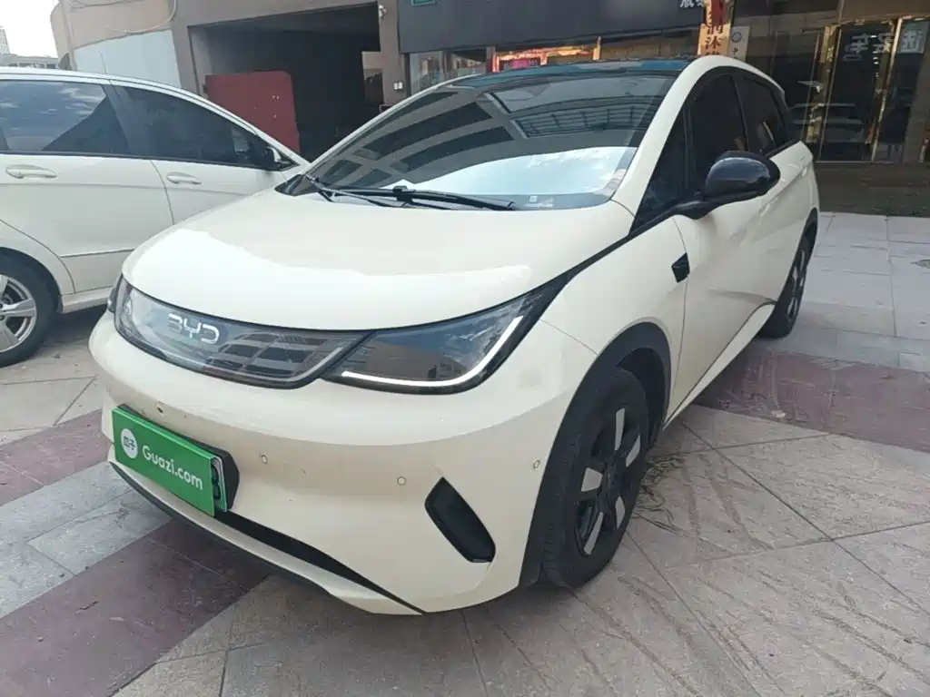  BYD Dolphin 2025 Smart Drive Edition 410km Fashion Version