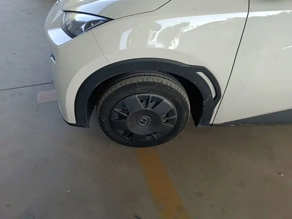 BYD Seagull 2023 2023 Vitality Edition