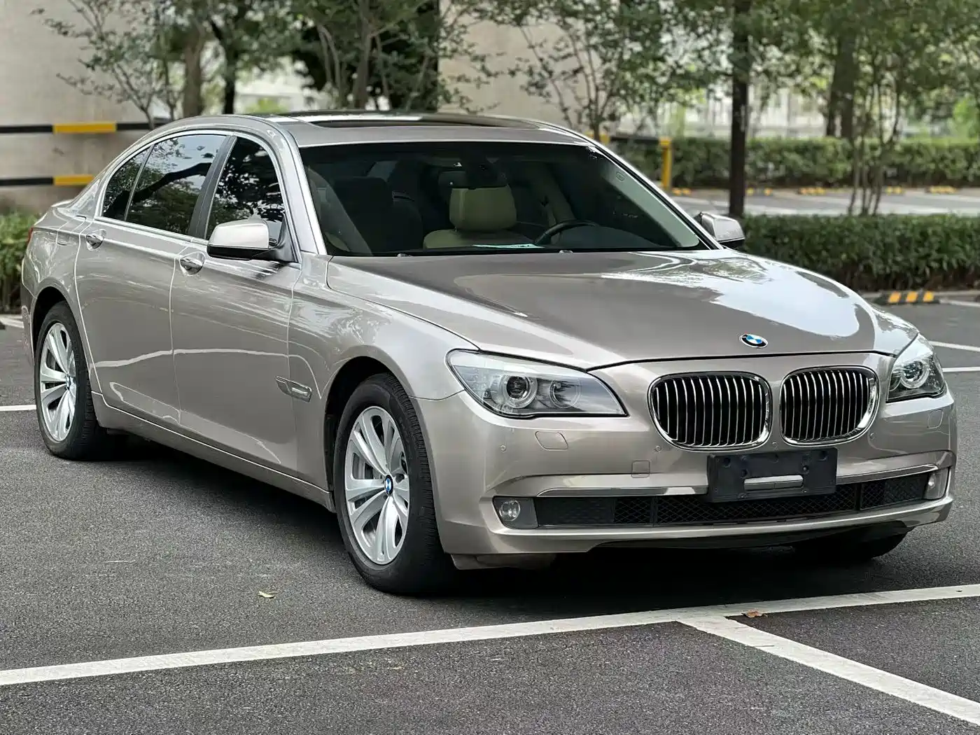 BMW 7 Series 2011 730Li Elegance фото 4