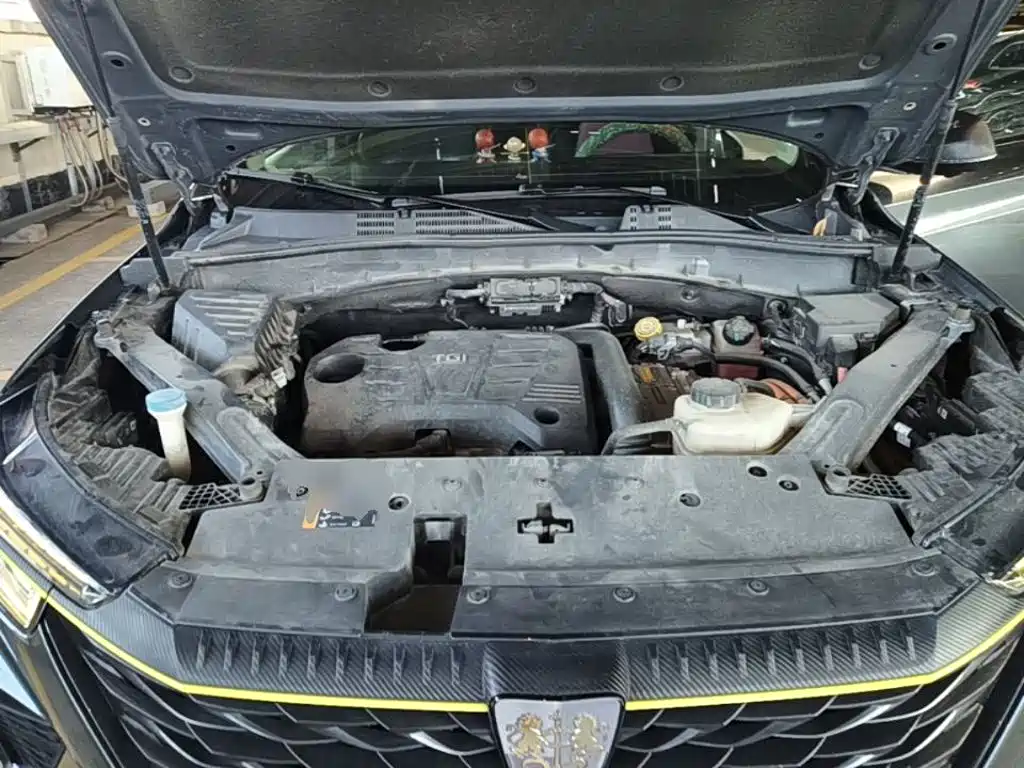 Roewe RX5 New Energy 2022 2021 Model ePLUS National Trend Ronglin Luxury Edition