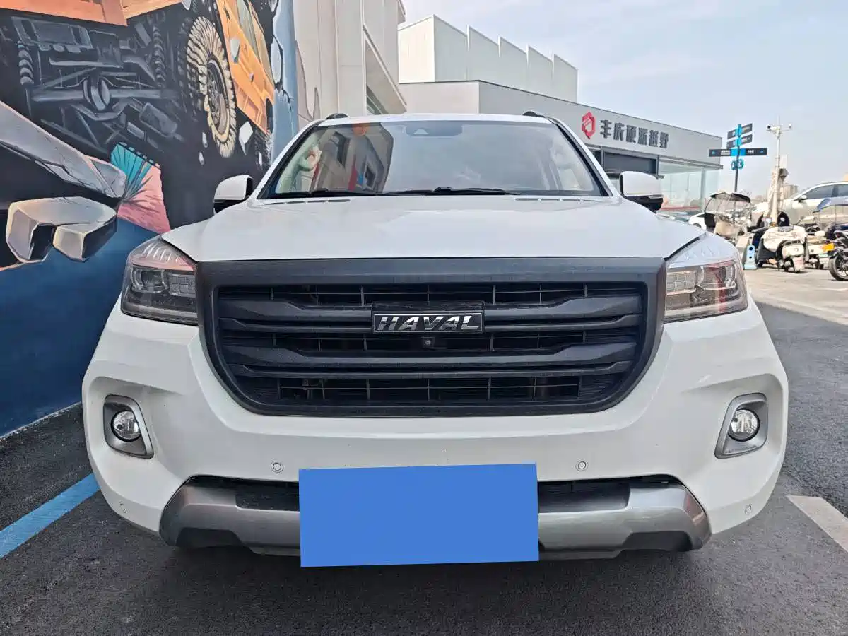 HAVAL H9
