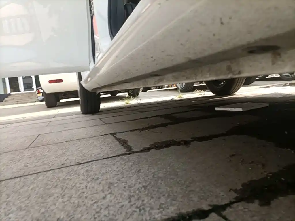 Ora White Cat 2020 2020 360km Luxury Model