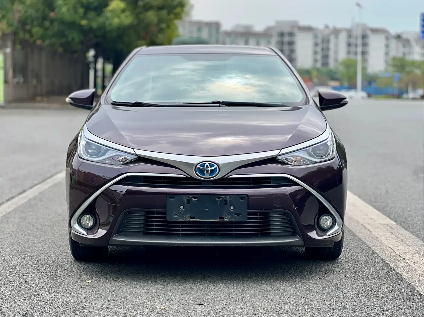 Toyota Levin 2018 Hybrid 1.8H GS-V E-CVT Premium Edition China V фото 2